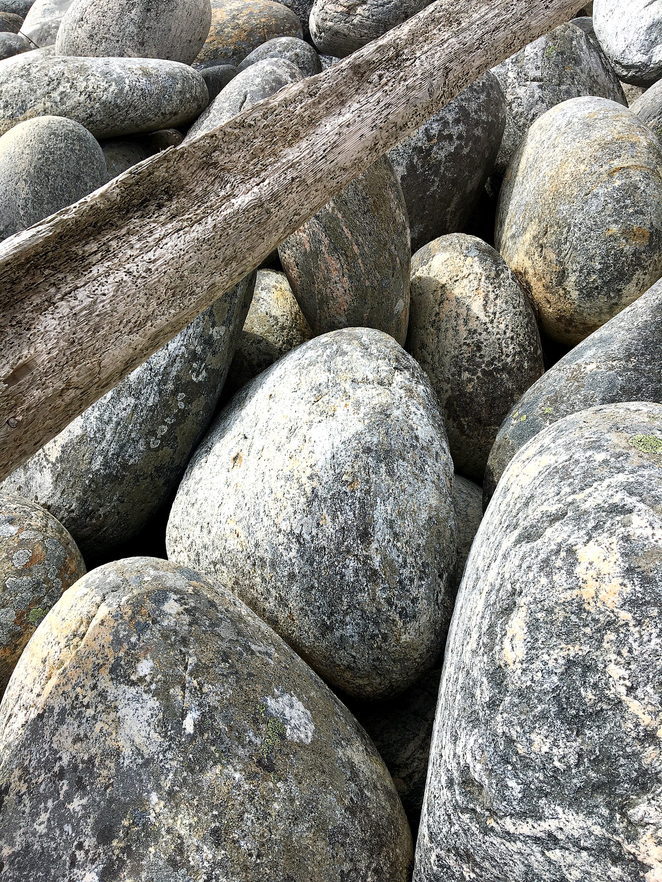 The rounded-stone beach at Sørlandshagen